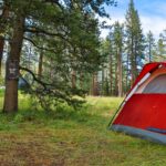 Dus portabil pentru drumetii/camping, 20L, negru - imagine 3