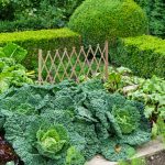 Gard cu zabrele de gradina, extensibil pana la 73 x 180 x 28, lemn de brad, pliabil, pentru plante cataratoare, vita de vie, maro deschis - imagine 5
