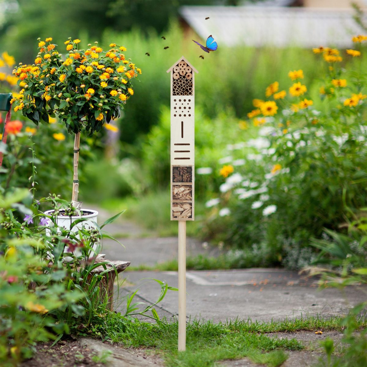 Casuta pentru insecte, din lemn, 148 x 16 x 11 cm - imagine 6