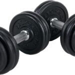 Set 2 gantere 30 kg, 30 mm, 8 x 2.5 kg / 4 x 1.25 kg, negru/argintiu