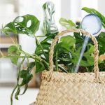 Set distribuitoare, udarea plantelor automat, 4 bucati, mentine apa timp de pana la 2 saptamani, albastru - imagine 3