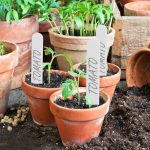 Etichete pentru plante, 300 bucati, creion inclus, reutilizabile, din plastic, 13 x 1,5 x 0,1 cm - imagine 5