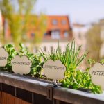 Etichete pentru plante, 100 bucati, design decorativ, din lemn, 10 x 6 x 0,2 cm - imagine 5