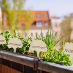Etichete pentru plante, 100 bucati, design decorativ, din lemn, 10 x 6 x 0,2 cm - imagine 5