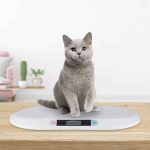 Cantar digital pentru copii/animale companie, pana la 20 kg, functie hold, Relaxdays - imagine 3