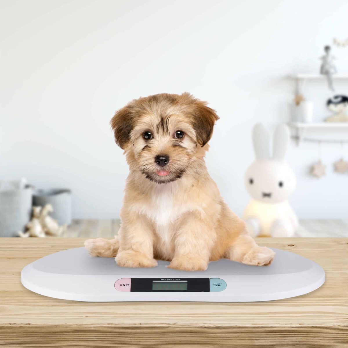 Cantar digital pentru copii/animale companie, pana la 20 kg, functie hold, Relaxdays - imagine 5