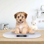 Cantar digital pentru copii/animale companie, pana la 20 kg, functie hold, Relaxdays - imagine 5