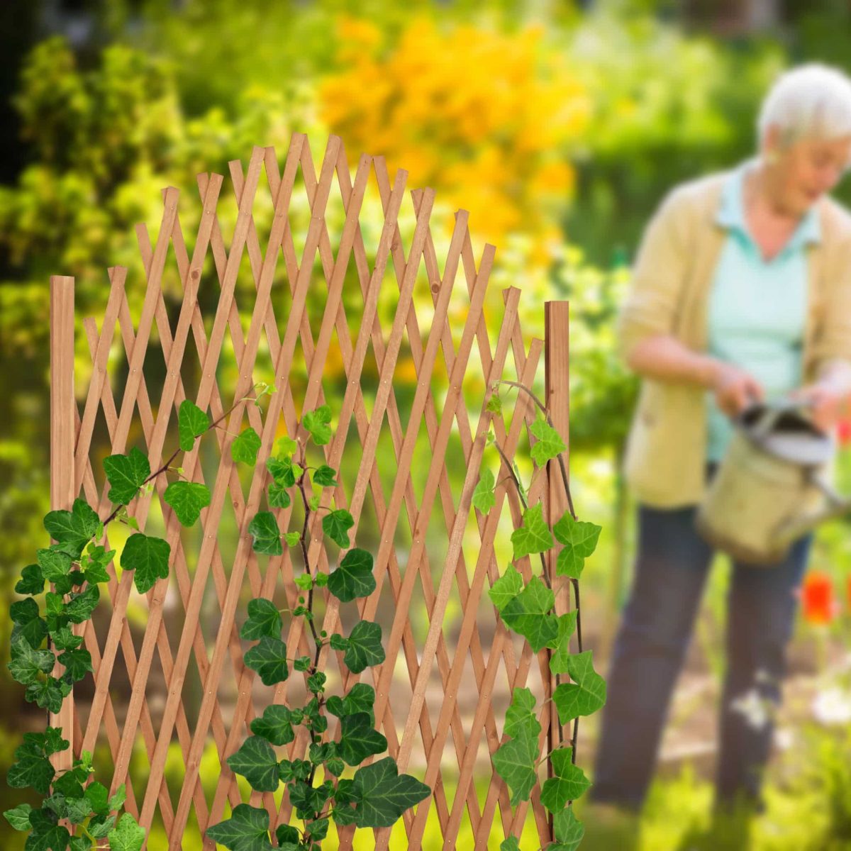 Spalier pliabil pentru plante cataratoare, lemn de brad, 101,5 x 30 cm - imagine 2