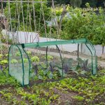 Mini sera pentru gradina, cadru din fier, verde, 50 x 128 x 60 cm - imagine 2