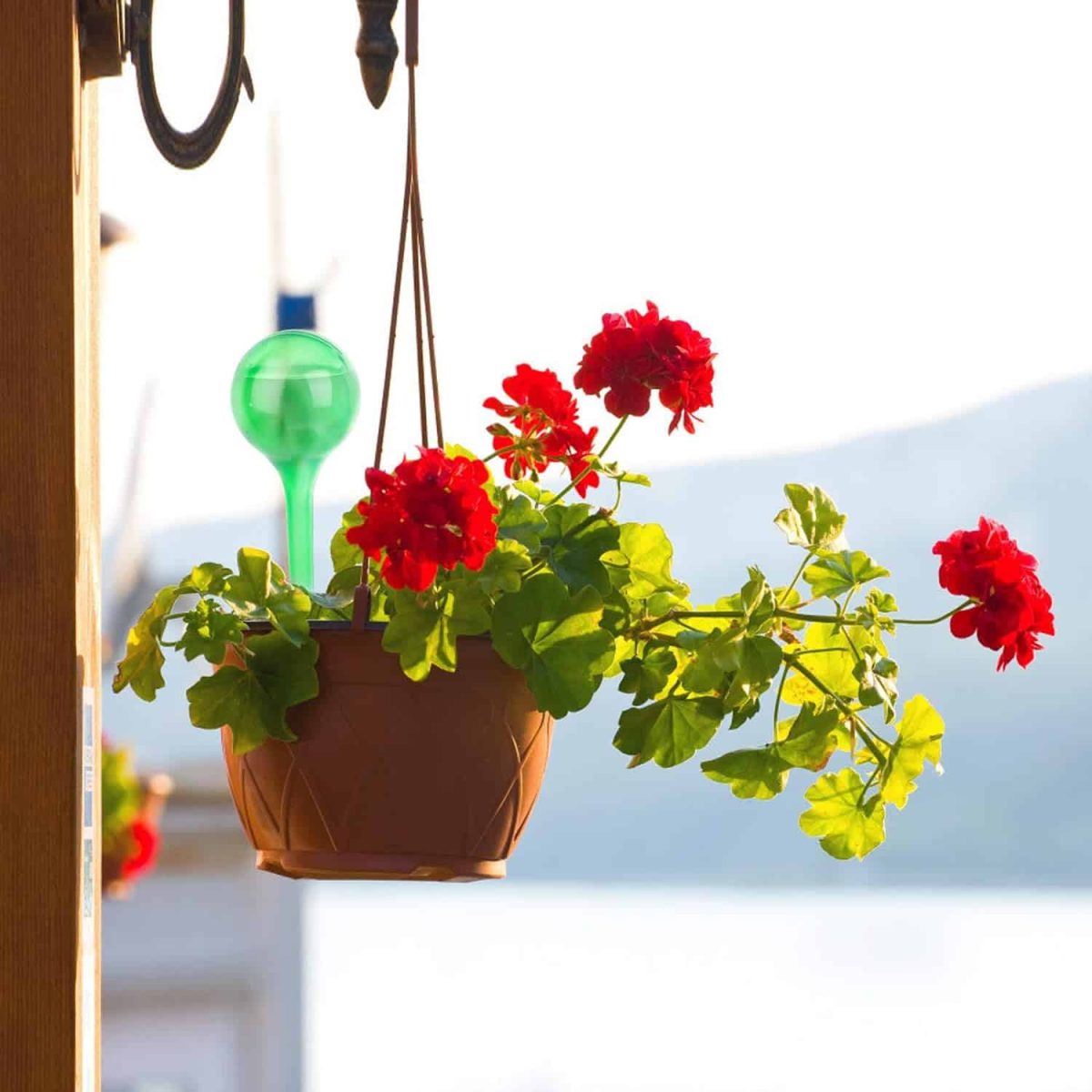 Set distribuitoare, udarea plantelor automat, 4 bucati, 13 x 5 cm, verde - imagine 3