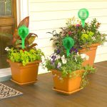 Set distribuitoare, udarea plantelor automat, 4 bucati, 13 x 5 cm, verde - imagine 4
