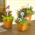 Set distribuitoare, udarea plantelor automat, 4 bucati, 13 x 5 cm, transparent - imagine 3