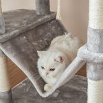 Ansamblu de joaca pentru pisici, FEANDREA, 60 x 50 x 206 cm, gri - imagine 4