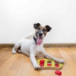 Jucarie interactiva pentru caini Relaxdays, galben/rosu/natural, 2,5 x 19,5 x 14 cm, din MDF - imagine 2