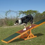 Balansoar dresaj caini, invelis din cauciuc antiderapant, 54 x 180 x 30 cm - imagine 2