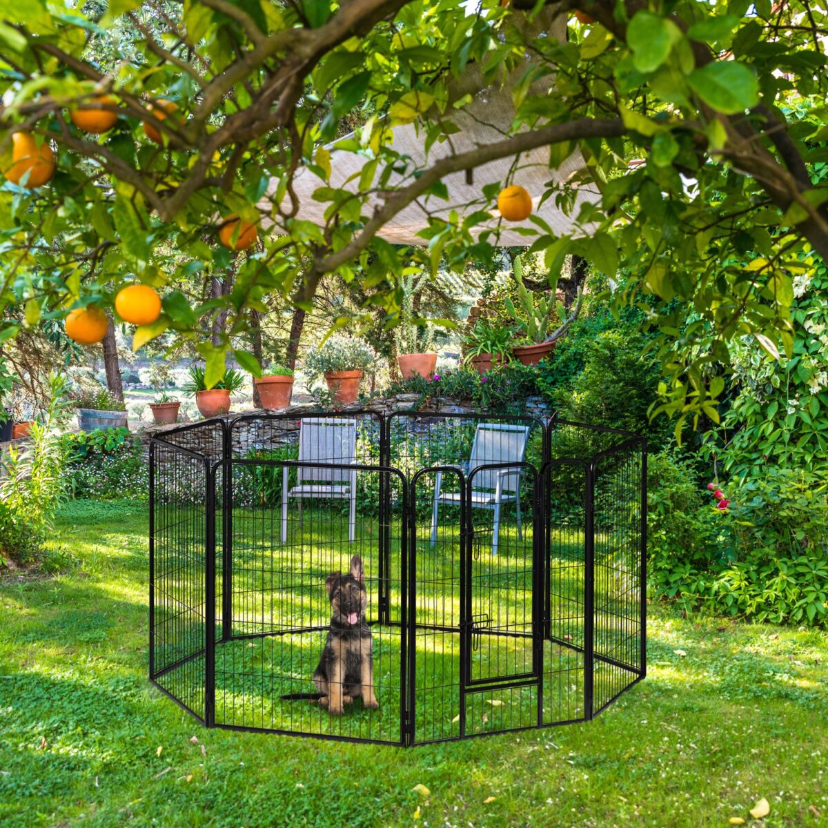 Tarc pentru animale de companie, interior si exterior, 60,5 x 76,5 x 235 cm - imagine 3