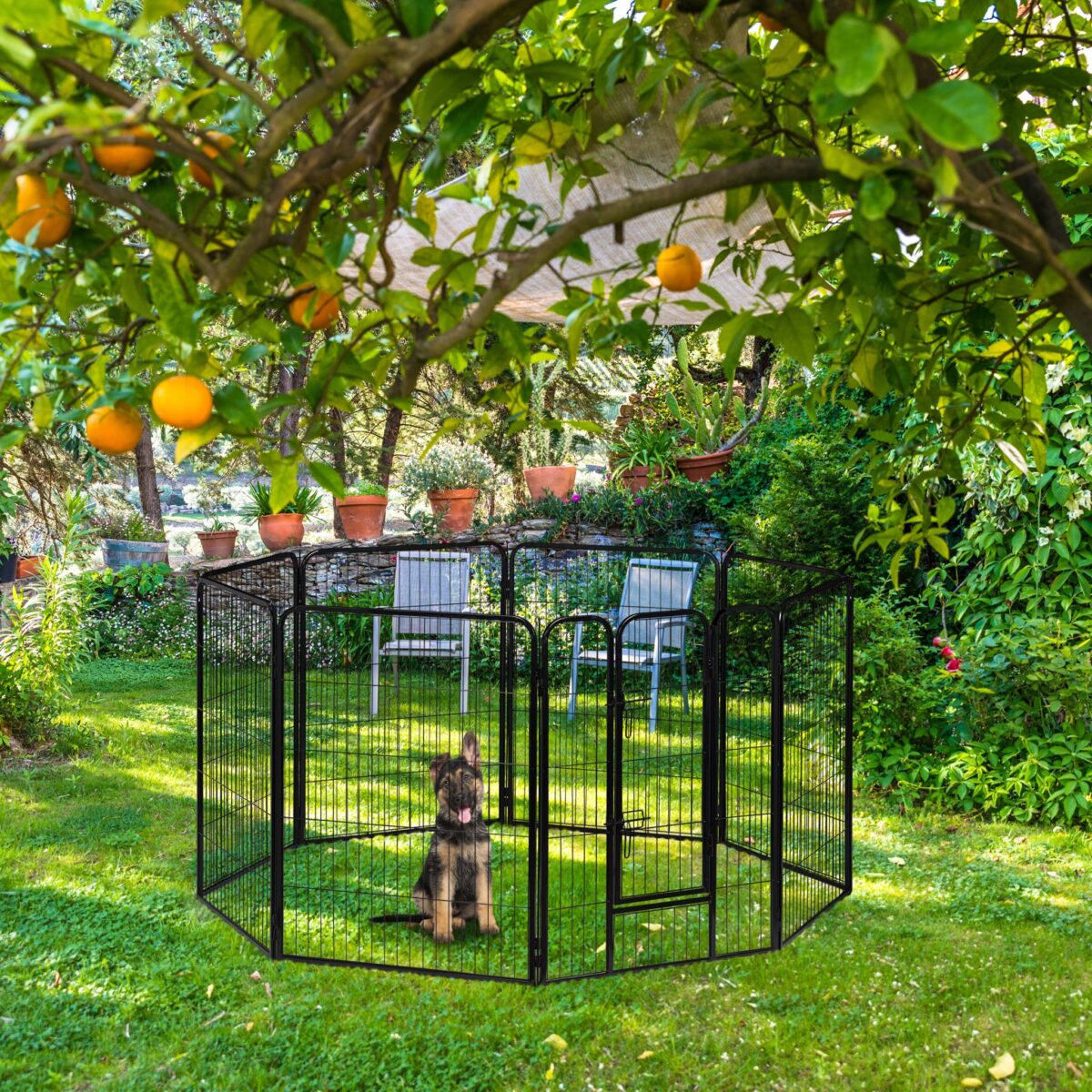 Tarc pentru animale de companie, interior si exterior, 100 x 76,5 x 235 cm - imagine 2