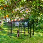 Tarc pentru animale de companie, interior si exterior, 120 x 76,5 x 235 cm - imagine 2