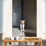 Set 2 boluri mancare pentru animale, suport bambus, 18,5 x 40 x 20,5 cm - imagine 4