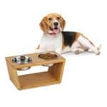 Boluri hranire animale de companie, din inox cu suport din bambus, 18,5 x 40 x 21 cm