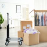 Carucior transport, manerului reglabil pe inaltime, capacitate de incarcare 100 kg, Relaxdays - imagine 3