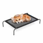 Culcus/sezolng pentru caini, de exterior si interior, capacitate 35 kg, 19 x 111 x 65 cm
