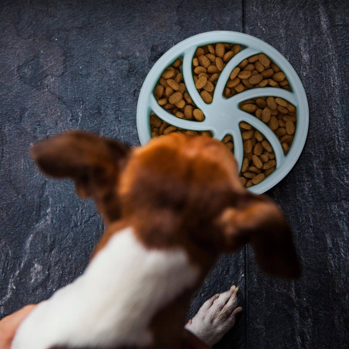 Bol anti-sling, pentru mancare lenta, roz, 600 ml, 5 x 20,5 cm - imagine 4
