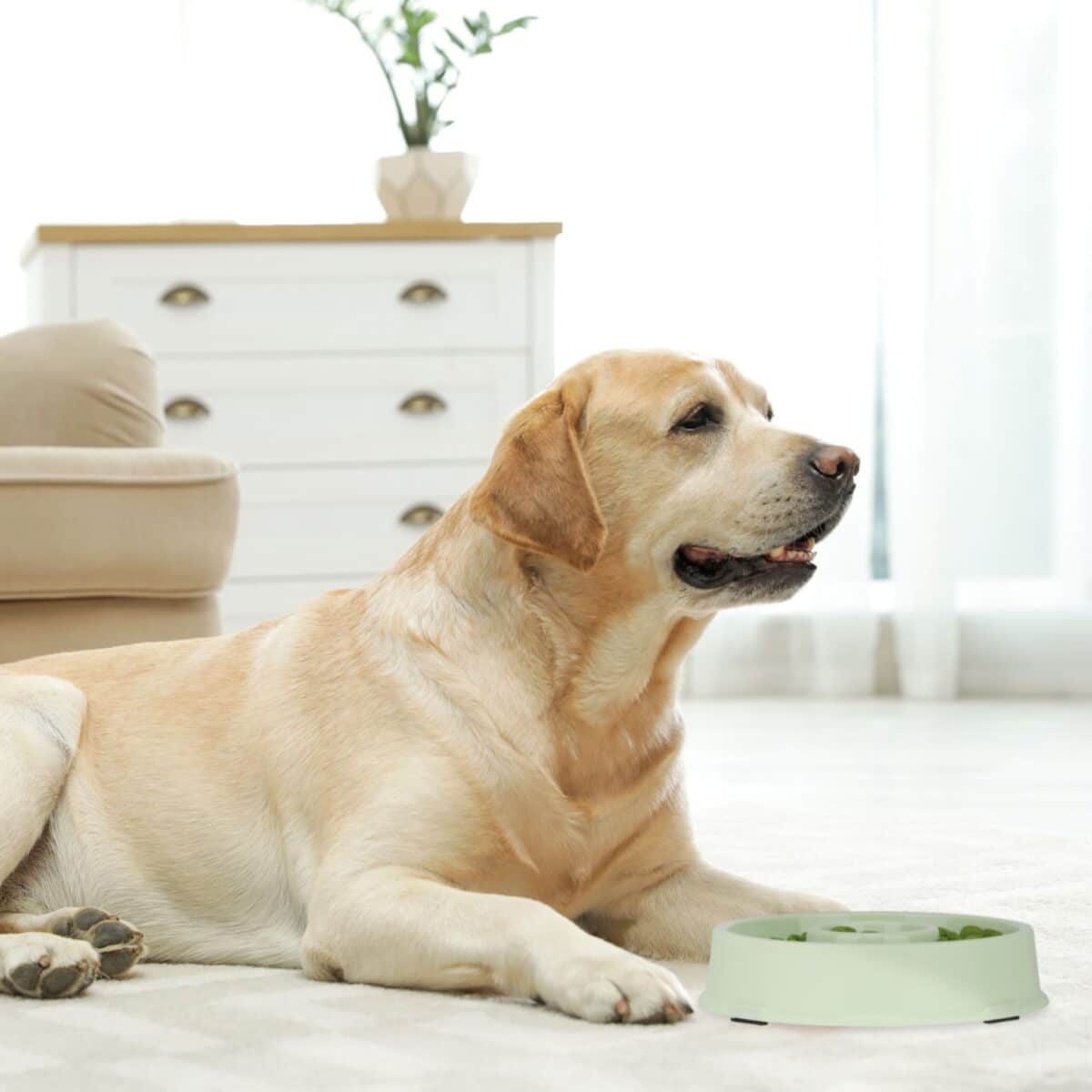 Bol anti-sling, pentru mancare lenta, roz, 500 ml, 4,5 x 19,5 cm - imagine 5
