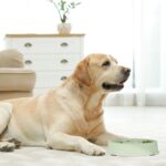 Bol anti-sling, pentru mancare lenta, roz, 500 ml, 4,5 x 19,5 cm - imagine 5