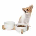 Boluri din ceramica, mancare caine, suport din bambus, 2 x 850 ml, alb, 9 x 32 x 17 cm