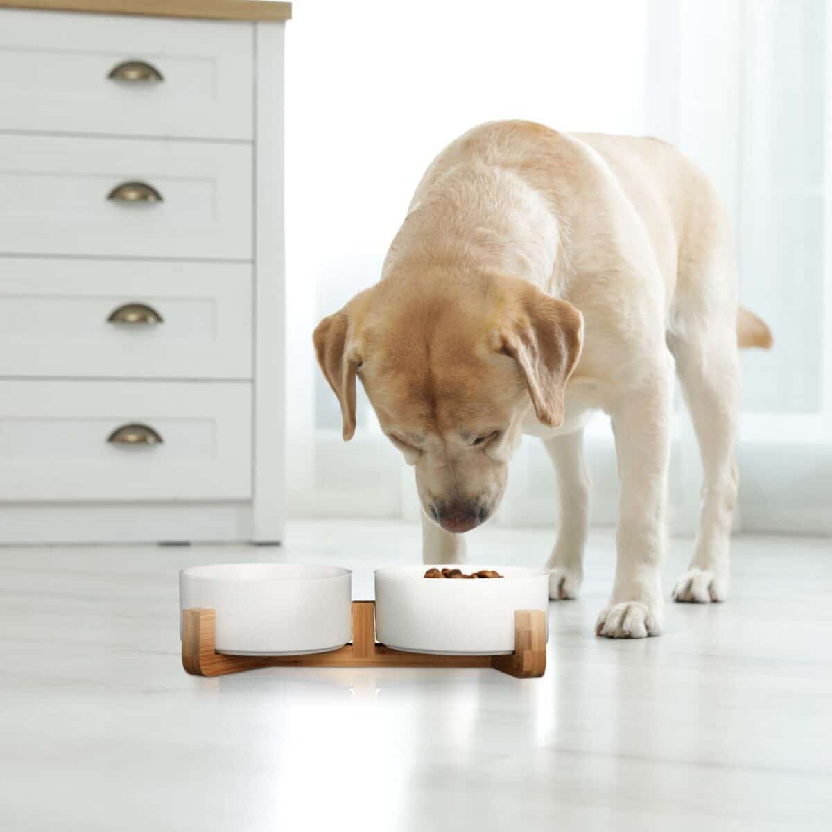 Boluri din ceramica, mancare caine, suport din bambus, 2 x 850 ml, alb, 9 x 32 x 17 cm - imagine 3