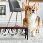 Boluri de hranire animale, cu suport, 13,5 x 40 x 23,5 cm, Relaxdays - imagine 3