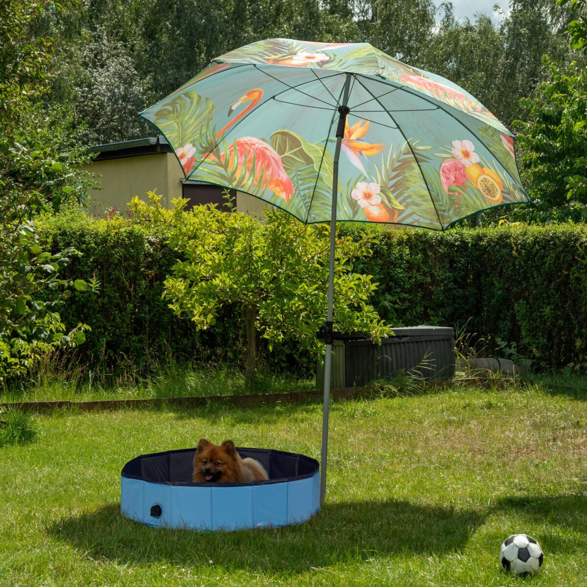 Piscina pentru animale de companie, pliabila, 20 x 80 cm - imagine 3