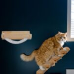 Hamac de perete pentru pisici,loc de dormit,pat feline, Relaxdays - imagine 8
