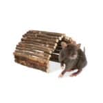 Adapost din lemn, pentru rozatoare, flexibil, 3,5 x 40 x 65 cm, Relaxdays