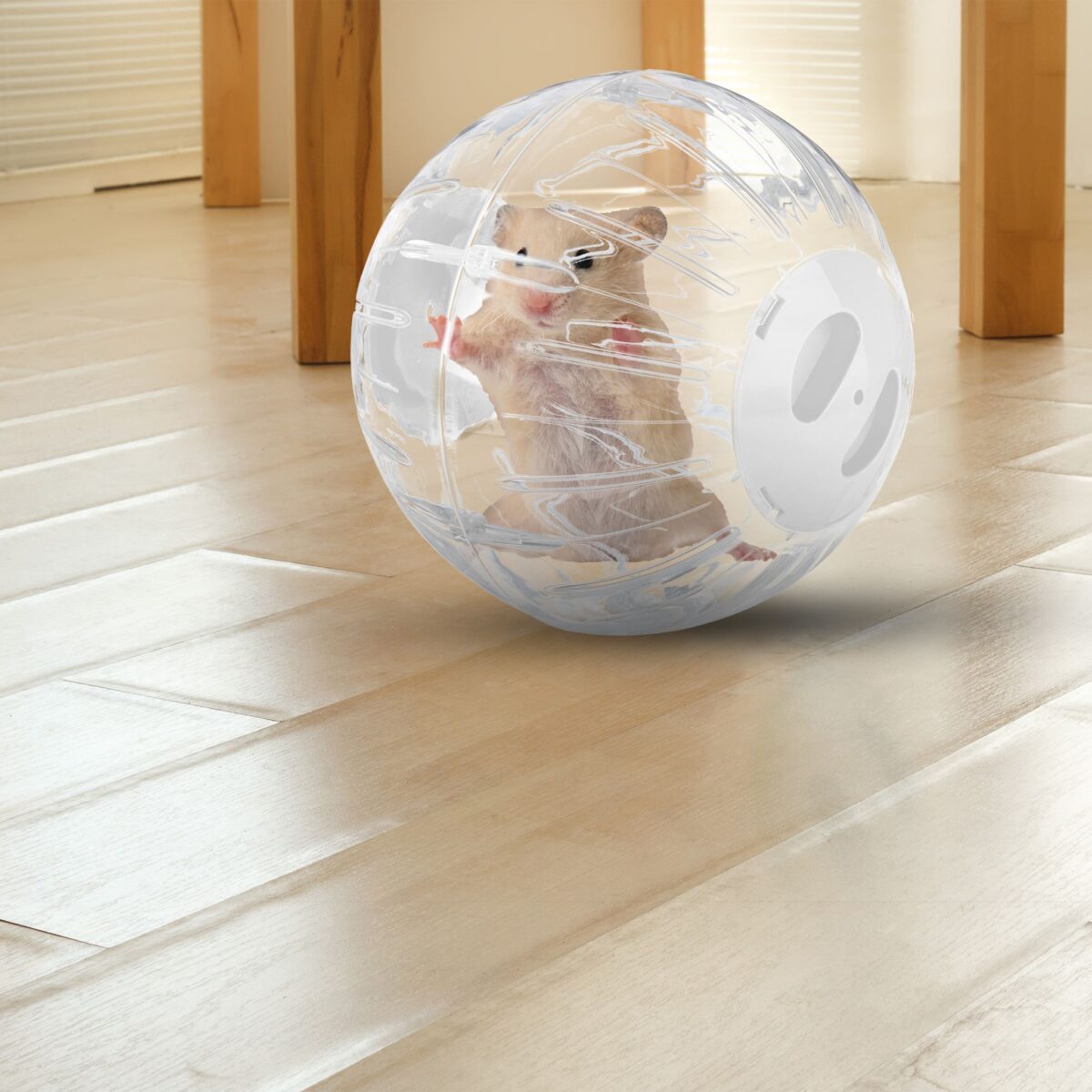 Minge de alergare, pentru rozatoare, transparent, diametru de 18.5 cm, Relaxdays - imagine 3