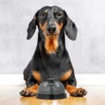 Clopot de antrenament pentru animale de companie, set 4 bucati, 4,5 x 7 cm - imagine 2