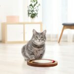 Jucarie pisici interactiva, cu placa de zgariat, 2,5 x 27,5 cm - imagine 2