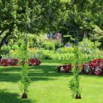 Arcada metalica pentru flori cataratoare, Relaxdays, verde, 270 x 144 x 60 cm - imagine 3
