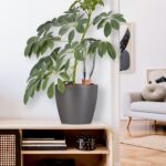 Set 4 conuri, de lut, pentru irigatii plante, 12,5 x 5 x 4,5 cm - imagine 3