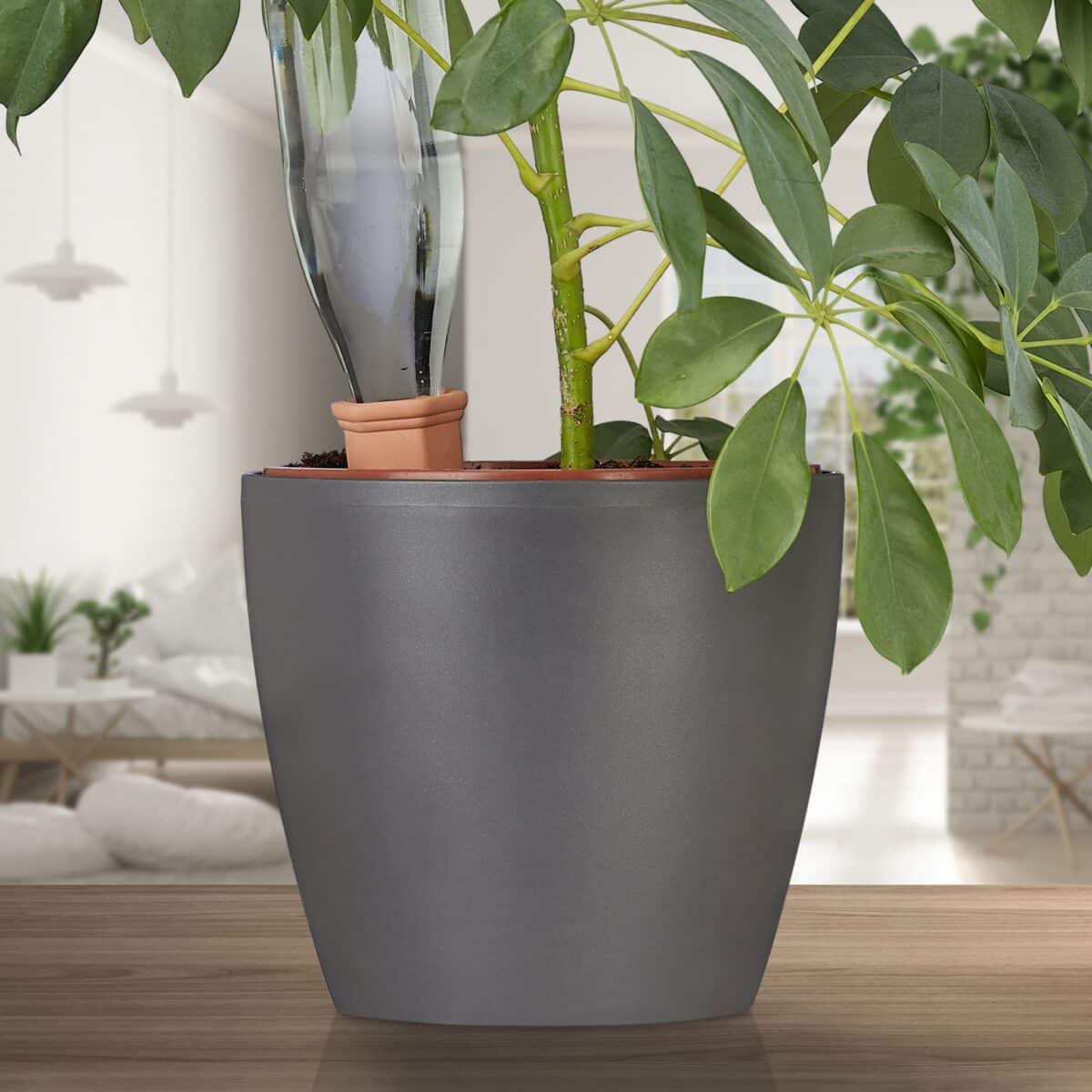 Set 4 conuri, de lut, pentru irigatii plante, 12,5 x 5 x 4,5 cm - imagine 6