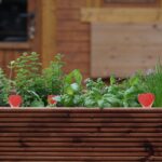 Set 4 conuri mari, de lut, pentru irigatii plante, 14 x 6 x 4 cm - imagine 5