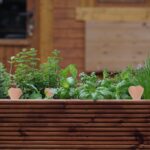 Set 4 conuri mari, de lut, pentru irigatii plante, 14 x 6 x 4 cm - imagine 5