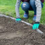 Bordura separatoare pentru gazon, 10 m, fier galvanizat, argintiu - imagine 3