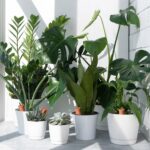 Set 12 conuri, de lut, pentru irigatii plante, 13 x 5 x 4,5 cm - imagine 3
