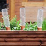 Set 12 conuri, de lut, pentru irigatii plante, 13 x 5 x 4,5 cm - imagine 6