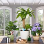 Set 4 conuri mari, de lut, pentru irigatii plante,16 x 8 x 6 cm - imagine 5