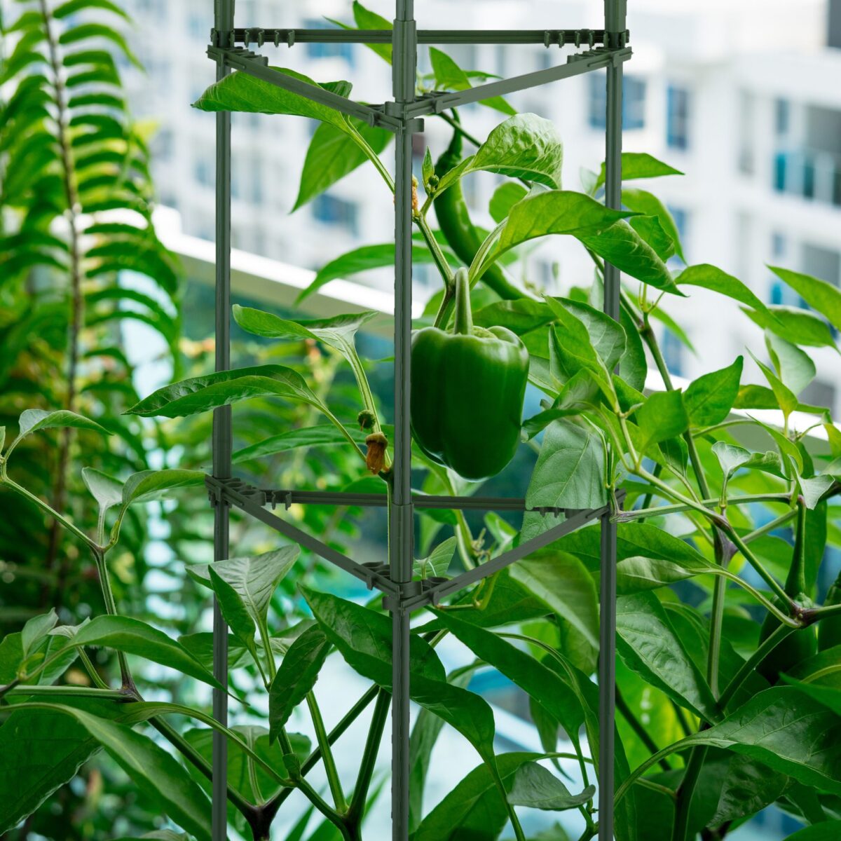 Set 2 spaliere pentru plante cataratoare, Relaxdays, otel/plastic, 92 x 28 x 25 cm, verde - imagine 5