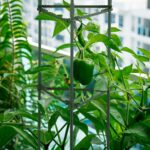 Set 2 spaliere pentru plante cataratoare, Relaxdays, otel/plastic, 92 x 28 x 25 cm, verde - imagine 5