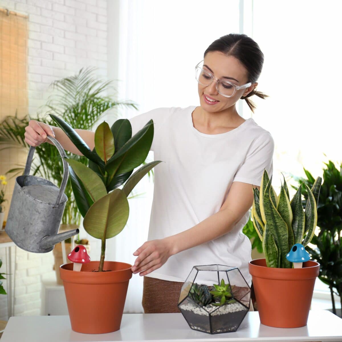 Set 4 conuri, de lut, pentru irigatii plante, 16 x 8,5 cm - imagine 6